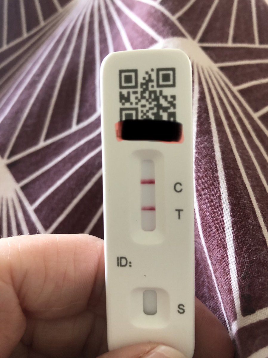 Vivienne MacLaren tweet media