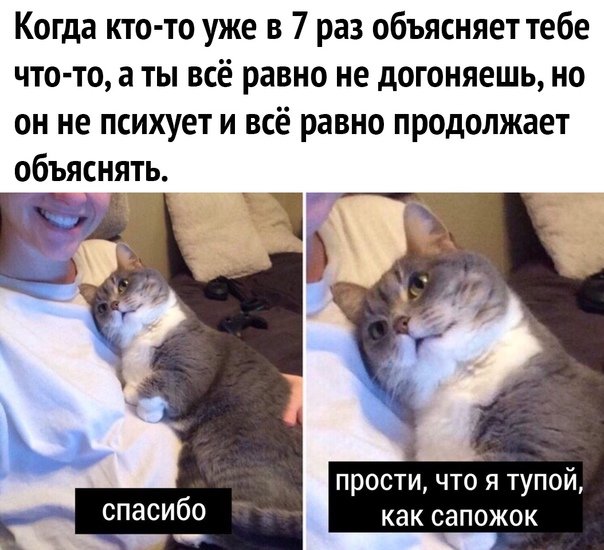 Reykimp's tweet photo. #Импрофандом помощь, плиииз. Помогите обойти тик ток, все способы что находила, не фурычат. Можно подробную инструкцию🙏 https://t.co/rlJNcx3gW3