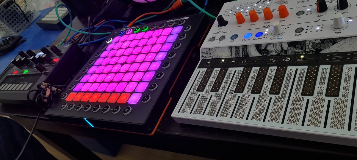 Warren Daly tweet media