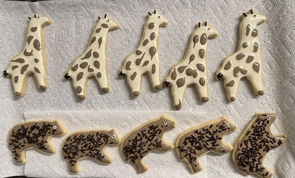 KidneyWars's tweet photo. Even Daylight Savings Time could not stop #NephMadness #AnimalHouse cookies! @NephMadness @VCU_Nephrology @VCU_IMRes @TeamLungfish @TeamBear22 @teamnmbear @NephGiraffe @TeamNephroWhale @Dog4NephMadness https://t.co/K61mdV47C0
