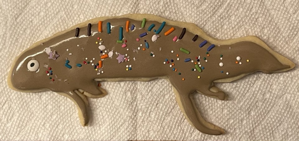 NoWars (@kidneywars) on Twitter photo Even Daylight Savings Time could not stop #NephMadness #AnimalHouse cookies! <a href="/NephMadness/">NephMadness</a> <a href="/VCU_Nephrology/">VCU Nephrology</a> <a href="/VCU_IMRes/">VCU IM Residency</a> <a href="/TeamLungfish/">Team Lungfish</a> <a href="/TeamBear22/">TeamBear</a> @teamnmbear <a href="/NephGiraffe/">Program</a> <a href="/TeamNephroWhale/">TeamNMWhale</a> <a href="/Dog4NephMadness/">Dogs for NephMadness</a> Even Daylight Savings Time could not stop #NephMadness #AnimalHouse cookies! <a href="/NephMadness/">NephMadness</a> <a href="/VCU_Nephrology/">VCU Nephrology</a> <a href="/VCU_IMRes/">VCU IM Residency</a> <a href="/TeamLungfish/">Team Lungfish</a> <a href="/TeamBear22/">TeamBear</a> @teamnmbear <a href="/NephGiraffe/">Program</a> <a href="/TeamNephroWhale/">TeamNMWhale</a> <a href="/Dog4NephMadness/">Dogs for NephMadness</a>