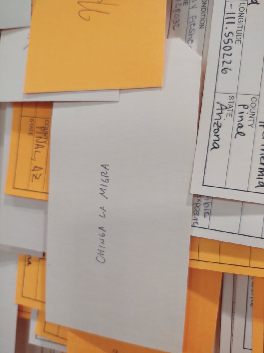 HT94SC's tweet photo. When the volunteers fill out the toe tags they are encouraged to write a sentiment or message on the back. When you visit the Hostile Terrain 94 exhibit at @accessfreely, be sure to look at these. Each toe tag represents a human life. #HT94SC https://t.co/YPL0lxXAAy