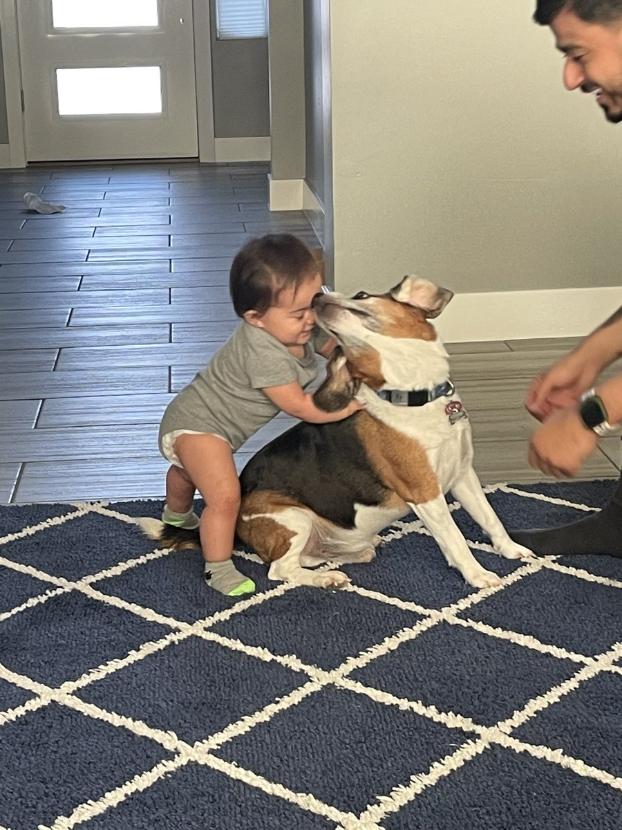 Maritza38858535's tweet photo. My little boy is turning 8 today 💙🥲 #alesso #beagle #ourfirstbaby https://t.co/KPknoiFpDJ