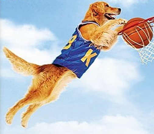 MOTUSmirror's tweet photo. An All-Sports Mutt Day

https://t.co/Abagr5kGmT

#GetTheFacts  #MOTUS  @TwitchyTeam https://t.co/ZTOJCalF4W