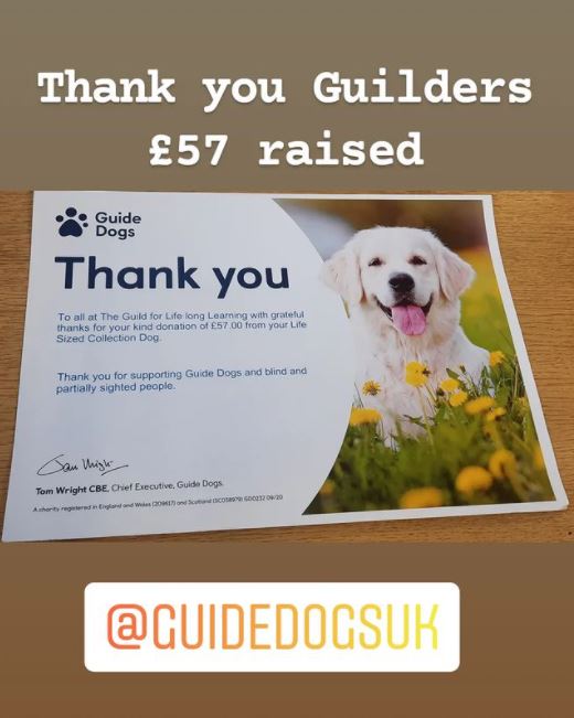 GuildWilmslow's tweet image. @guidedogs #charitycauses #supportguidedogs