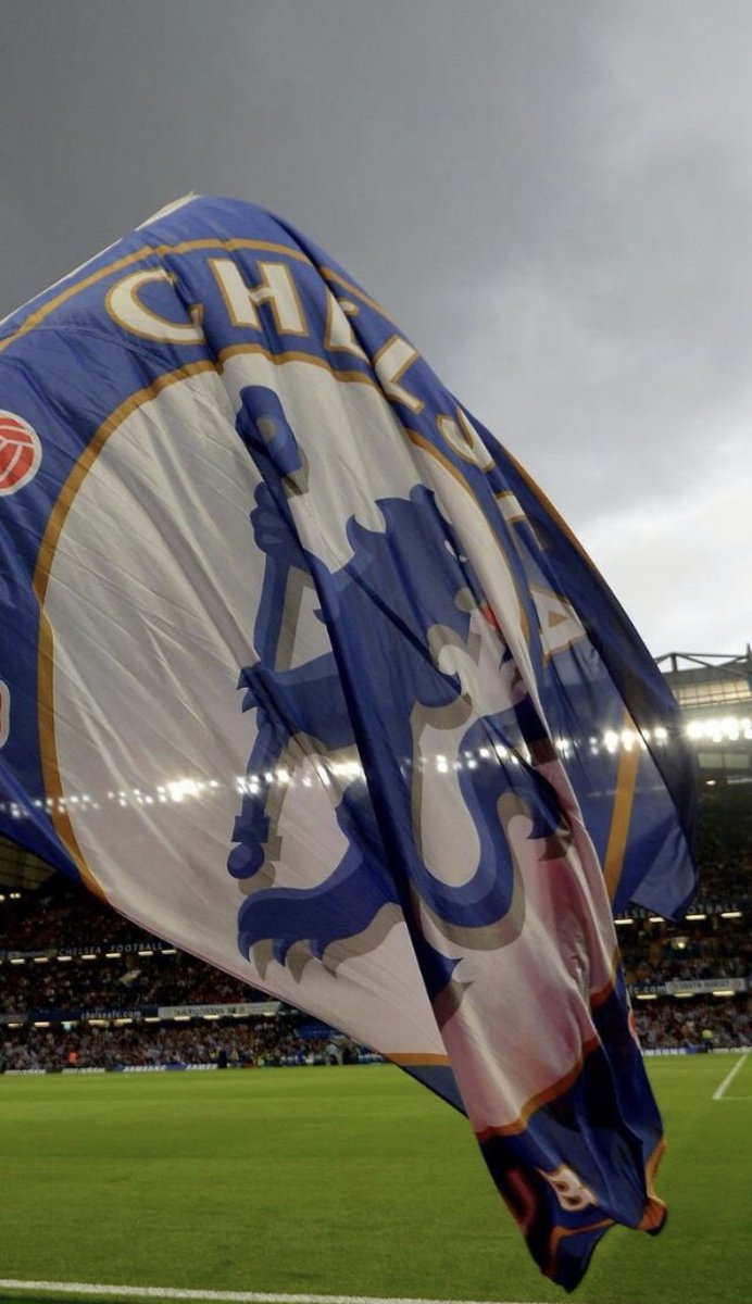 محمد الشمري tweet media