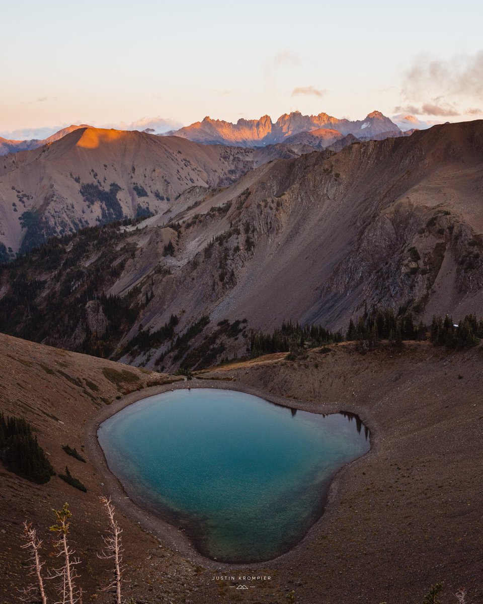 Gm NFT photographers and collectors ☕️ photograph I took in Olympic national park.