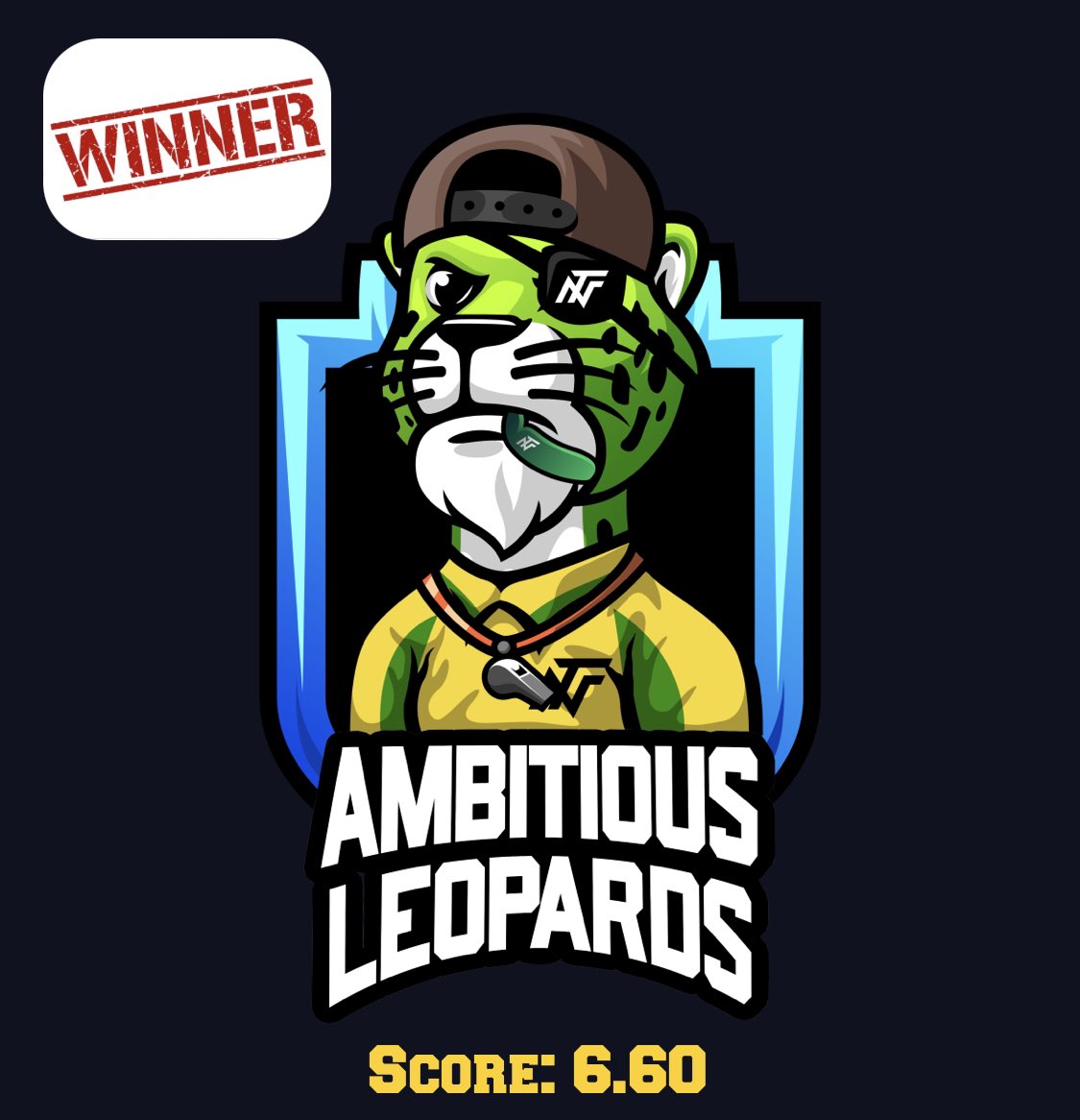 First tournament, first perfect round. 
Even the tiebreaker could not stop the Ambitious Leopards

#NFTeams