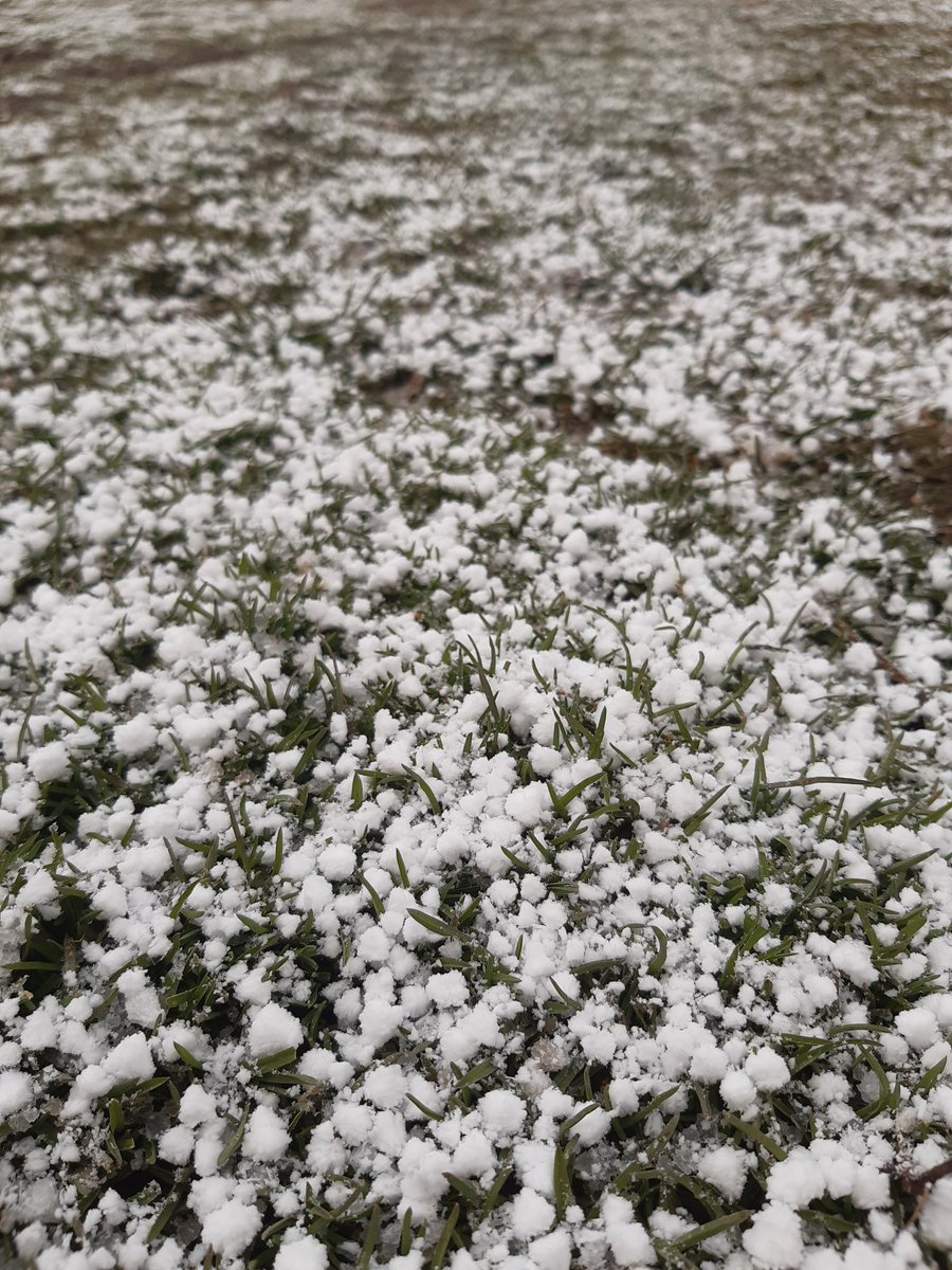 Abi böyle şey mi olur kar değil bildiğin kar topçukları yağıyor resmen.