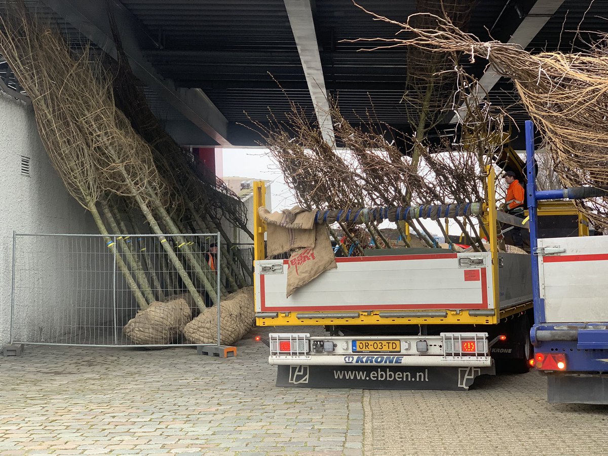 lbood's tweet photo. Wauwโฆ. Welkom boom buren!
Even rusten van de reis en daarna goed groeien op de kade.
Vergroening van #maaskade #noordereiland in volle gang ๐ณ๐โ๏ธ๐ #Rotterdam #greencity https://t.co/MpMHGl01sH