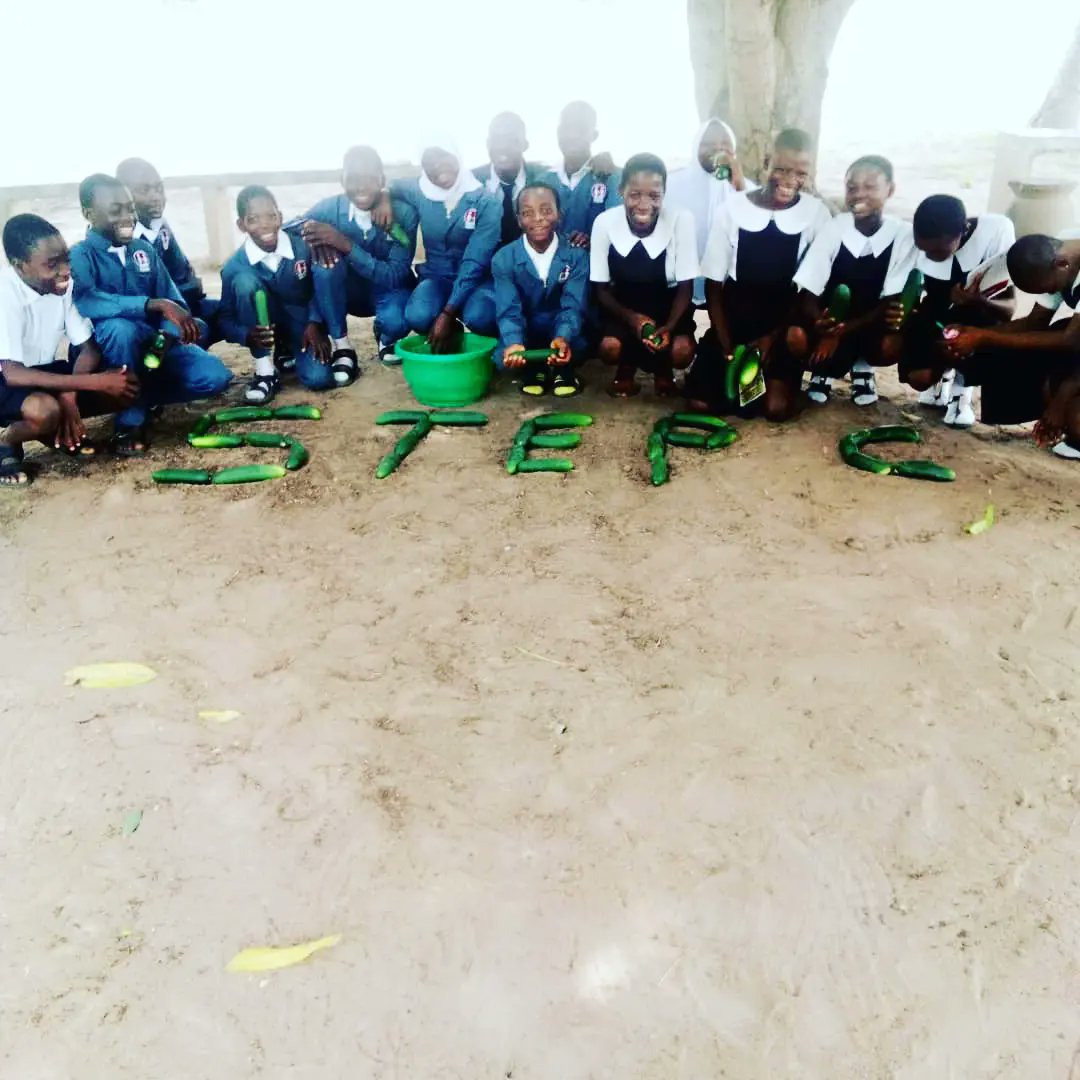 step_iita's tweet photo. Great results from well-trained #STEP students at Oluponna Grammer School, Osun State.

#CatchingThemYoung 
#agriculture 
#agribusiness 

@IITA_CGIAR @IITAYOUTHAGRIP @Osunstategovt @FAOWestAfrica @AfDB_Group @CGIAR https://t.co/dC3snO0H8i