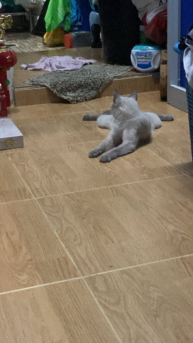 Theeratouch_Ch's tweet image. นุ้งน้วย