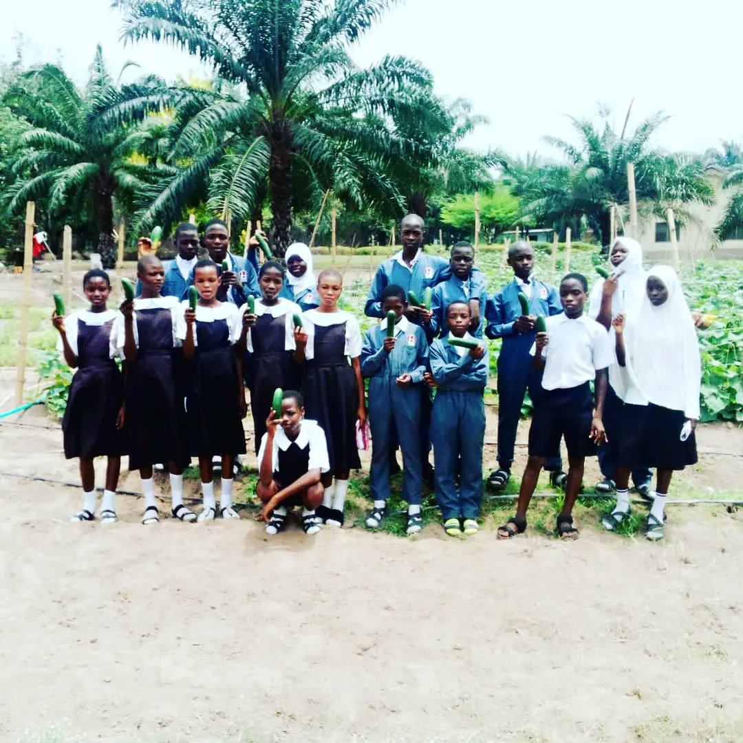 step_iita's tweet photo. Great results from well-trained #STEP students at Oluponna Grammer School, Osun State.

#CatchingThemYoung 
#agriculture 
#agribusiness 

@IITA_CGIAR @IITAYOUTHAGRIP @Osunstategovt @FAOWestAfrica @AfDB_Group @CGIAR https://t.co/dC3snO0H8i