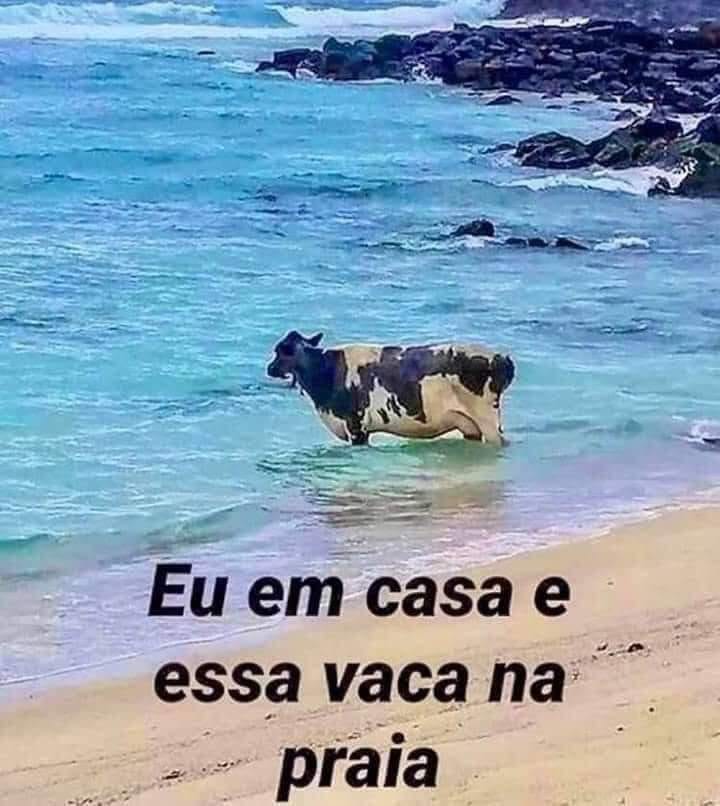 sou36798640's tweet photo. @Alexandre000011 #Boadia Mi Capitão....
Navegar é preciso... https://t.co/Ltvm6mrwyv