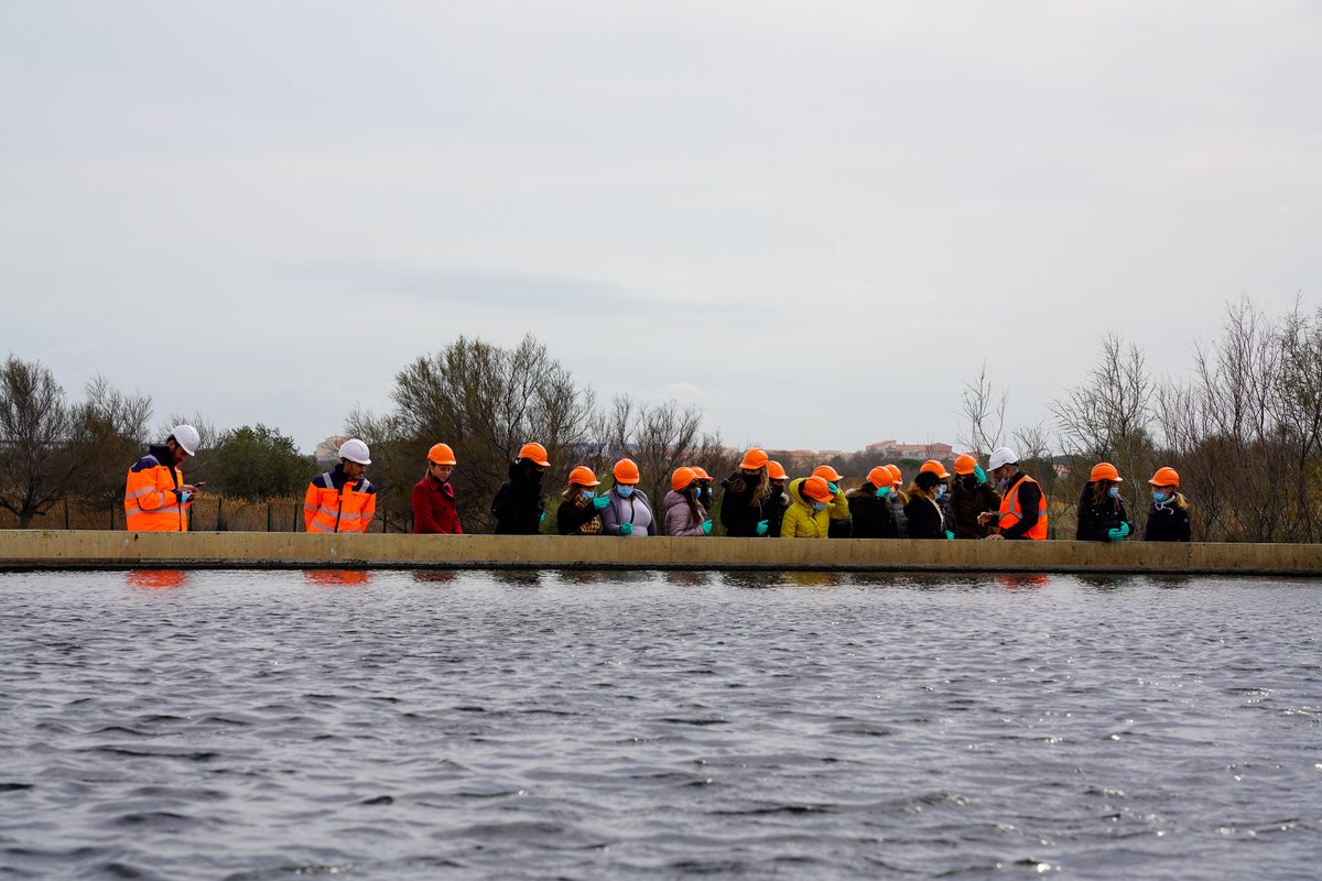 FlorianeAlfredo's tweet photo. La Femina Week @suez a pris fin sous le vent de @villebarcares Pas moins de 17 participantes ont découvert le métier de technicien(ne) de traitement sur la step. @MartineGisolo , marraine de l'événement leur a précisé son engagement dans la lutte pour la féminisation des métiers. https://t.co/mf5mkUGPWK