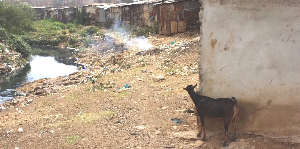 Zoonoses & EID (@zoonoticdisease) on Twitter photo New <a href="/NatureMicrobiol/">Nature Microbiology</a>, out right now #openaccess from our #UrbanZoo project
Population #genomics of E coli in #livestock keeping households across a rapidly developing #urban landscape
nature.com/articles/s4156…
<a href="/The_MRC/">Medical Research Council</a> New <a href="/NatureMicrobiol/">Nature Microbiology</a>, out right now #openaccess from our #UrbanZoo project
Population #genomics of E coli in #livestock keeping households across a rapidly developing #urban landscape
nature.com/articles/s4156…
<a href="/The_MRC/">Medical Research Council</a>
