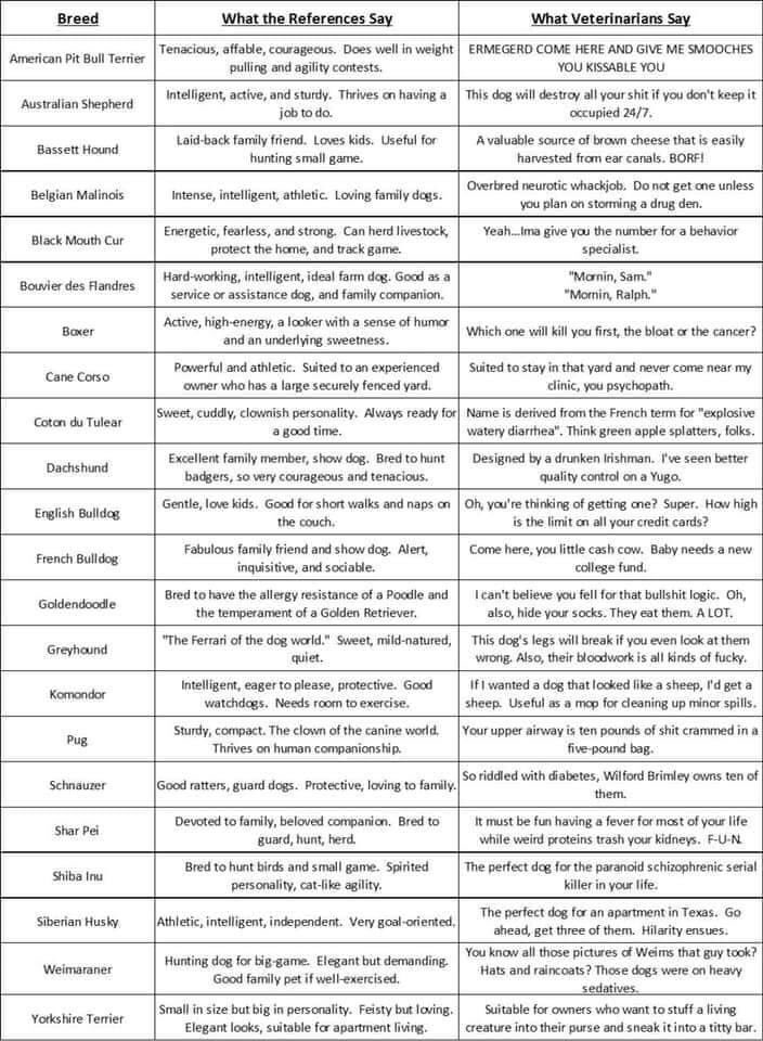 RAHTJo's tweet photo. A pretty good comprehensive list… FYI: if you have a friend in Vet Med. and you tell them you’re getting a dog…. Just don’t tell us k? https://t.co/tUBu6uVO6f