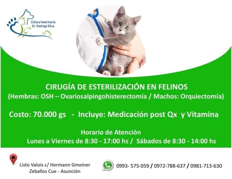 Sale Hilo de jornadas de castración a bajo costo, si conocen alguno nos chiflan y sumamos la info 👇🏻😸 RT