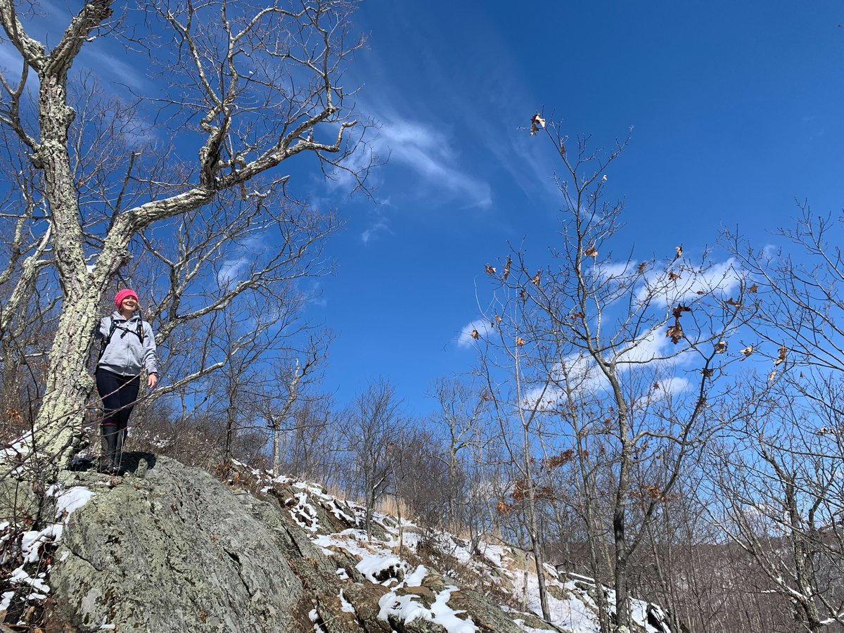 Housatonic Valley Association tweet media