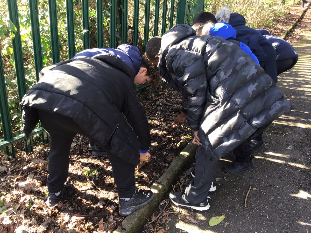 MissMole5's tweet photo. Year 4 enjoying our Science topic 'living things and their habitats' and putting their vertebrates and invertebrates learning into context by searching for as many as they can find 🐌🐞🦟🦗@DevonshireJun https://t.co/UG2RgeCJMO