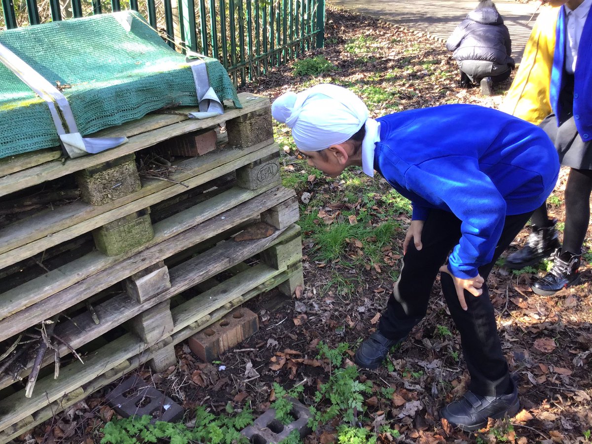 MissMole5's tweet photo. Year 4 enjoying our Science topic 'living things and their habitats' and putting their vertebrates and invertebrates learning into context by searching for as many as they can find 🐌🐞🦟🦗@DevonshireJun https://t.co/UG2RgeCJMO