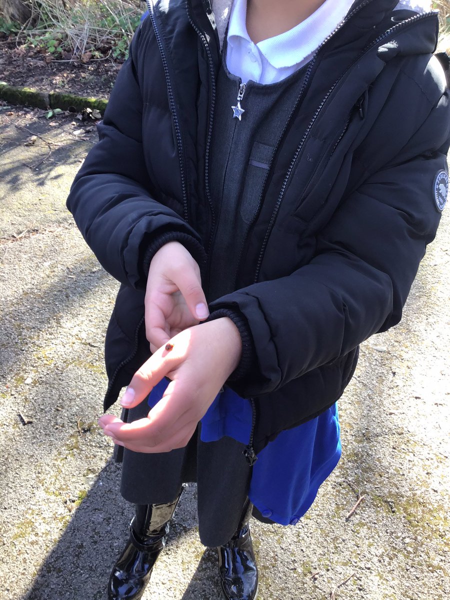 MissMole5's tweet photo. Year 4 enjoying our Science topic 'living things and their habitats' and putting their vertebrates and invertebrates learning into context by searching for as many as they can find 🐌🐞🦟🦗@DevonshireJun https://t.co/UG2RgeCJMO