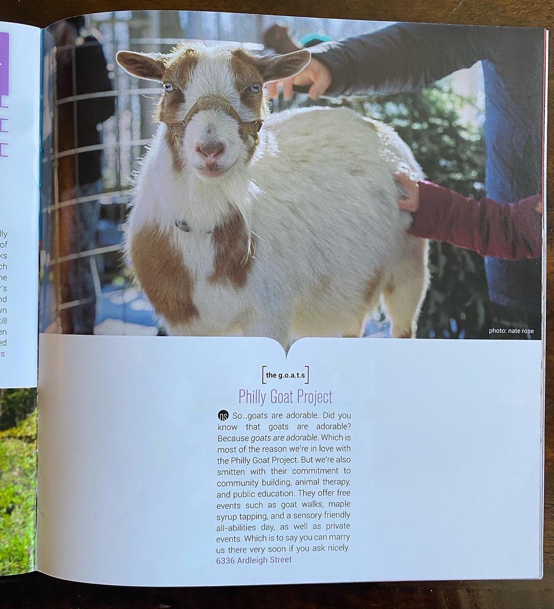 PhillyGoatProj1's tweet photo. What an honor to be named as a @phillycurrent #PCpicks2022 winner! 🐐 🐐 🐐 We’re so excited to be amongst this amazing list of local businesses and champions. 🤩 Thank you, Philly Current, for including our nonprofit!! 🙏 

#phillycurrent #pcfam #phillygoatproject #goat https://t.co/mZaHtnGOFa