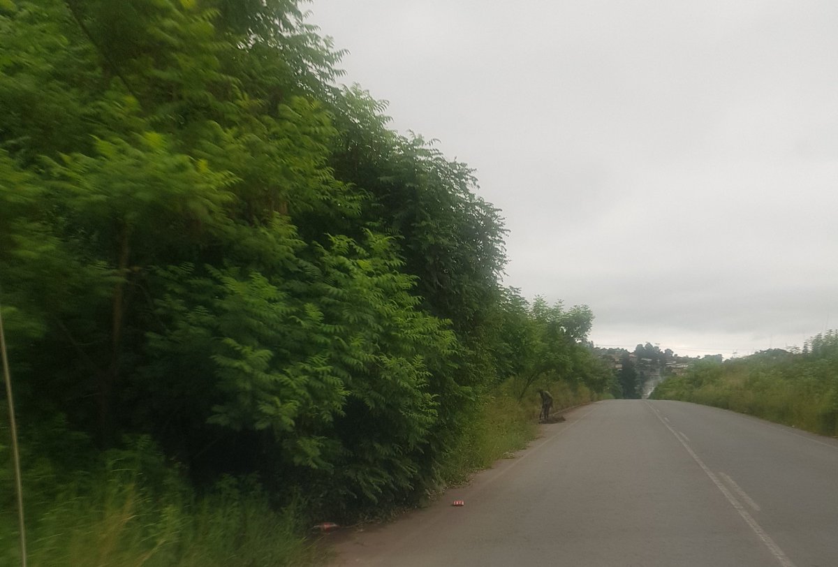 MHLUNGUOLUHLAZA's tweet photo. Dear @eThekwiniM ... there is a young man cleaning or removing overgrowth on the road verges along #MthokoMkhizeDrive at #Georgedale near #Hammarsdale. Please acknowledge the good work he is doing and do more to clear the  road verges!! https://t.co/qBtYC9XbqW