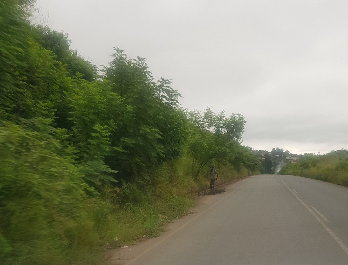 MHLUNGUOLUHLAZA's tweet photo. Dear @eThekwiniM ... there is a young man cleaning or removing overgrowth on the road verges along #MthokoMkhizeDrive at #Georgedale near #Hammarsdale. Please acknowledge the good work he is doing and do more to clear the  road verges!! https://t.co/qBtYC9XbqW