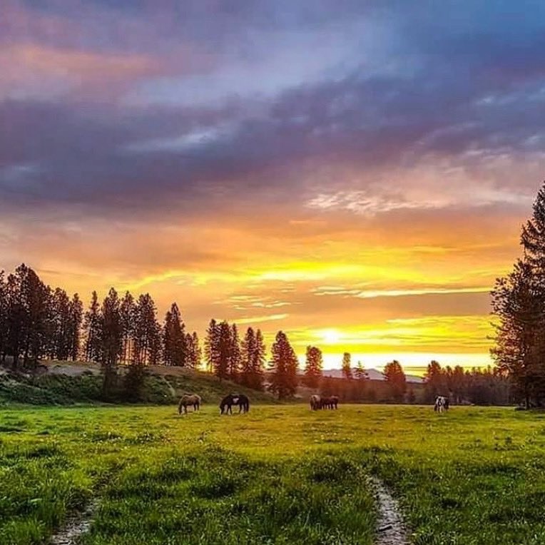 ThreeBarsRanch's tweet photo. Wake up to the most beautiful views you’ve ever seen on a Monday Morning @ThreeBarsRanch #GoodMorningTwitterWorld #beautiful #threebarsranch #thisishowiwestern #ride #horseback #RockyMountains https://t.co/mr5FuJDDuL