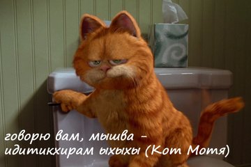 Блог Кота Моти.: катовая писанина catmotya.blogspot.com/2022/03/blog-p…