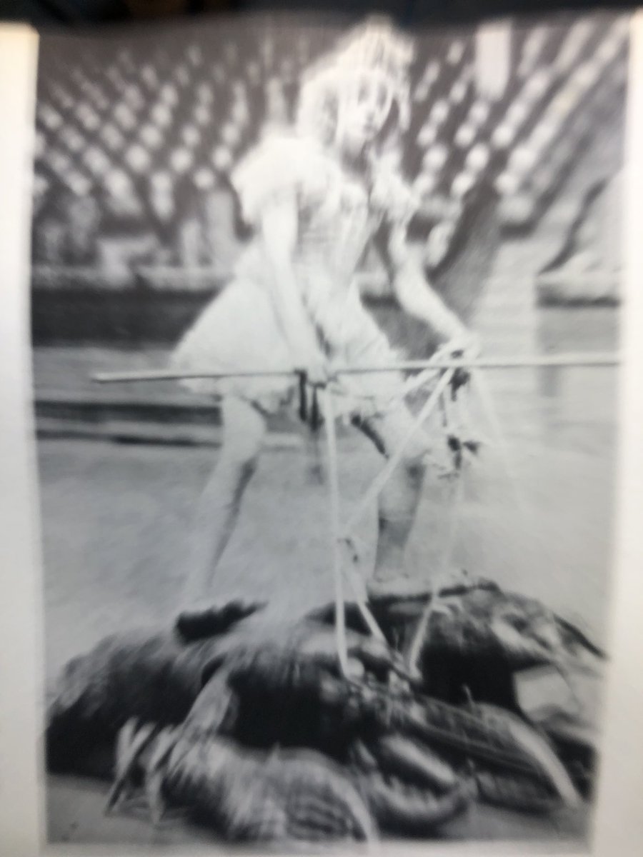 Megsquito's tweet image. My Monday