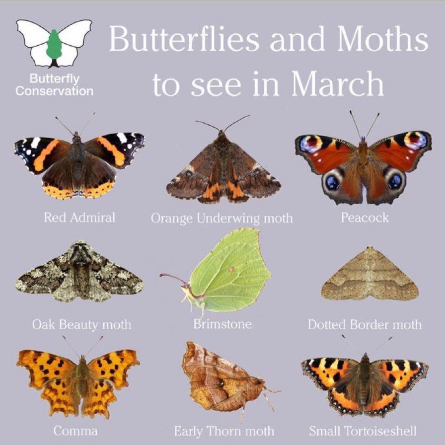 friendsofdrpep 🍃💚🍃 tweet media