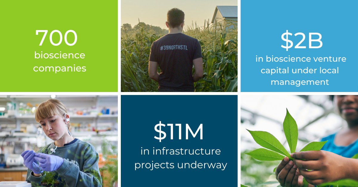 It’s #314Day! Today we are celebrating #StLouis and its journey to becoming a world center for #PlantScience. Did you know that #STL is home to <a href="/39NorthSTL/">39° North</a>, a 600-acre #agtech and biosciences innovation district? #STLMade