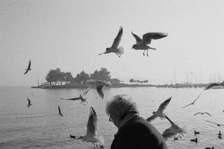 zhyseiyn's tweet image. Que crezcas entre las flores ❦