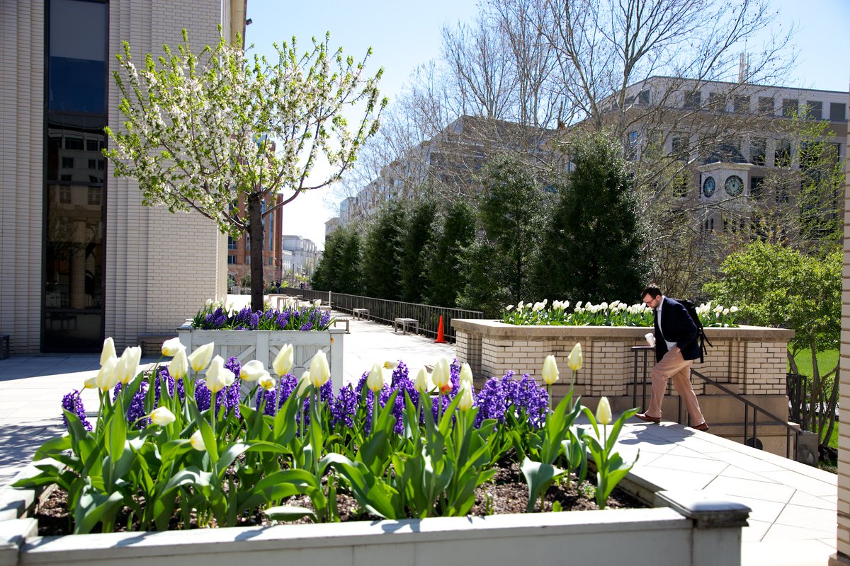 GeorgetownLaw's tweet photo. Wishing all of our #hoyalawyas a safe and restful #SpringBreak! See you real soon. π #georgetownlaw https://t.co/vRW2g7NMNZ
