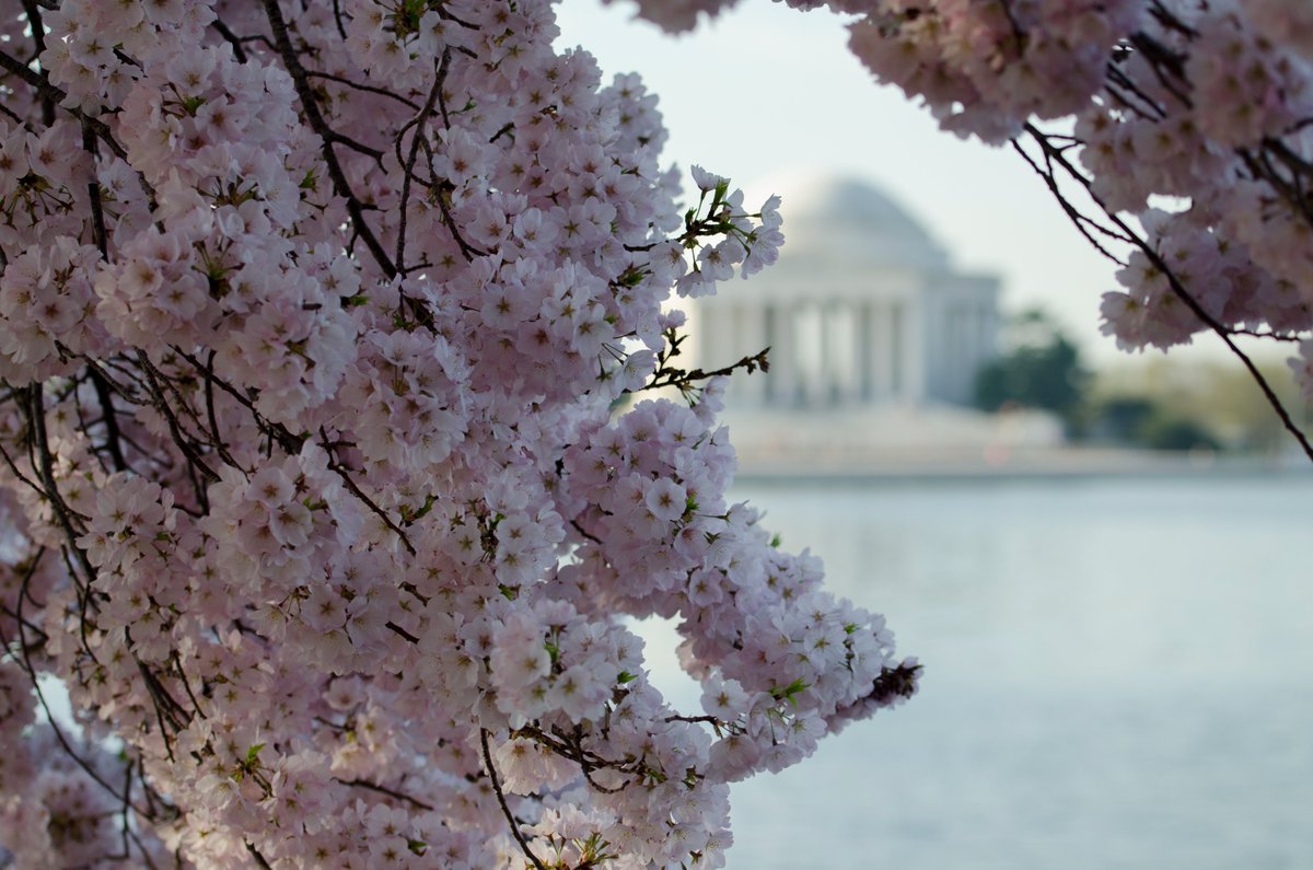 GeorgetownLaw's tweet photo. Wishing all of our #hoyalawyas a safe and restful #SpringBreak! See you real soon. π #georgetownlaw https://t.co/vRW2g7NMNZ