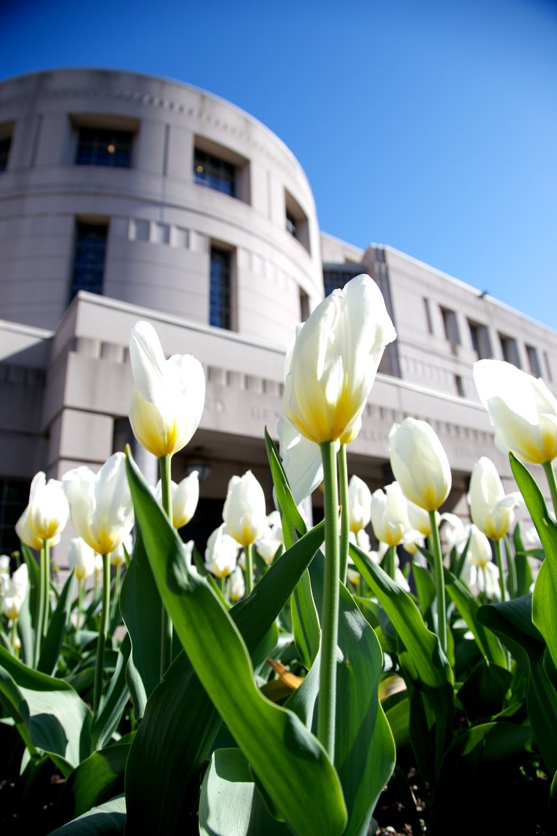 GeorgetownLaw's tweet photo. Wishing all of our #hoyalawyas a safe and restful #SpringBreak! See you real soon. π #georgetownlaw https://t.co/vRW2g7NMNZ