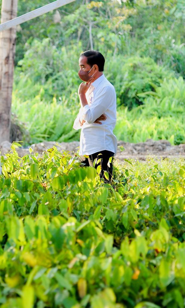 Joko Widodo tweet media