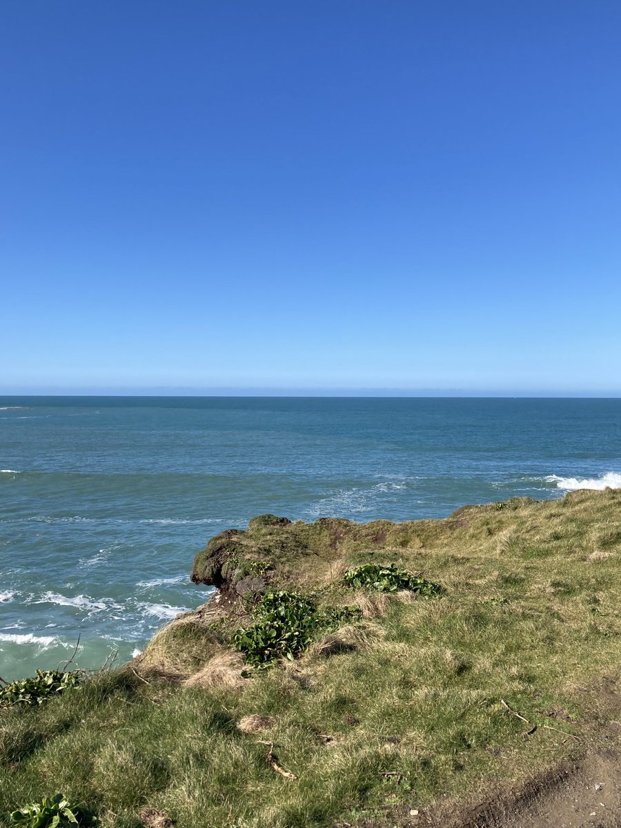 Cornwall looking inviting today! Have come a long way from home to follow up on a recent sighting &amp; I feel like I am on holiday 🌞