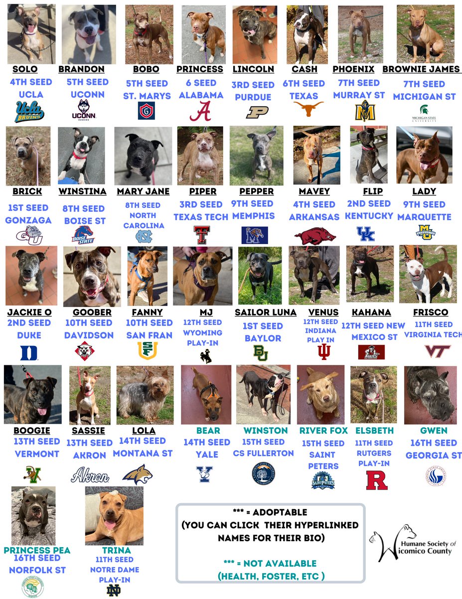 WicomicoHumane's tweet photo. 🏀🐾Virtual March Madness Event🐾🏀

Fill out a bracket to help our animals &amp; shelter expansion! $10/bracket &amp; 6 winners get a gift basket for their pet! Location does not matter - we'd be happy to ship to the winner.

Info &amp; bracket here: https://t.co/DakyZfJj6i

#MarchMadness https://t.co/rF82uXCDp6
