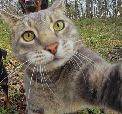 오늘 (@lloveutoday) on Twitter photo 