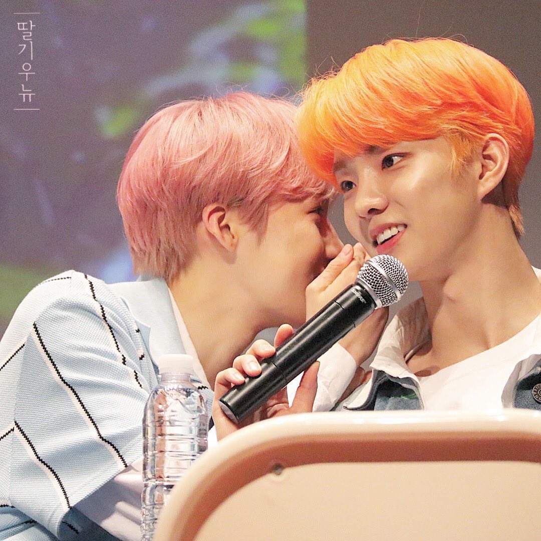 sunricnyukyu's tweet image. lomls