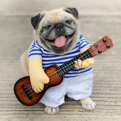 BuckEsports's tweet photo. Good Morning 😃 https://t.co/xQnlwJ8jRv