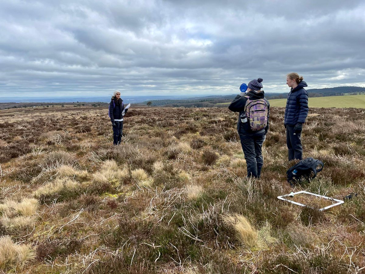 KewHouseScience's tweet photo. Year 12s measuring biotic and abiotic factors! #biologyfieldtrip #KewHouseScience #KewHouseSchool #alevels https://t.co/IHc9MPwPJh