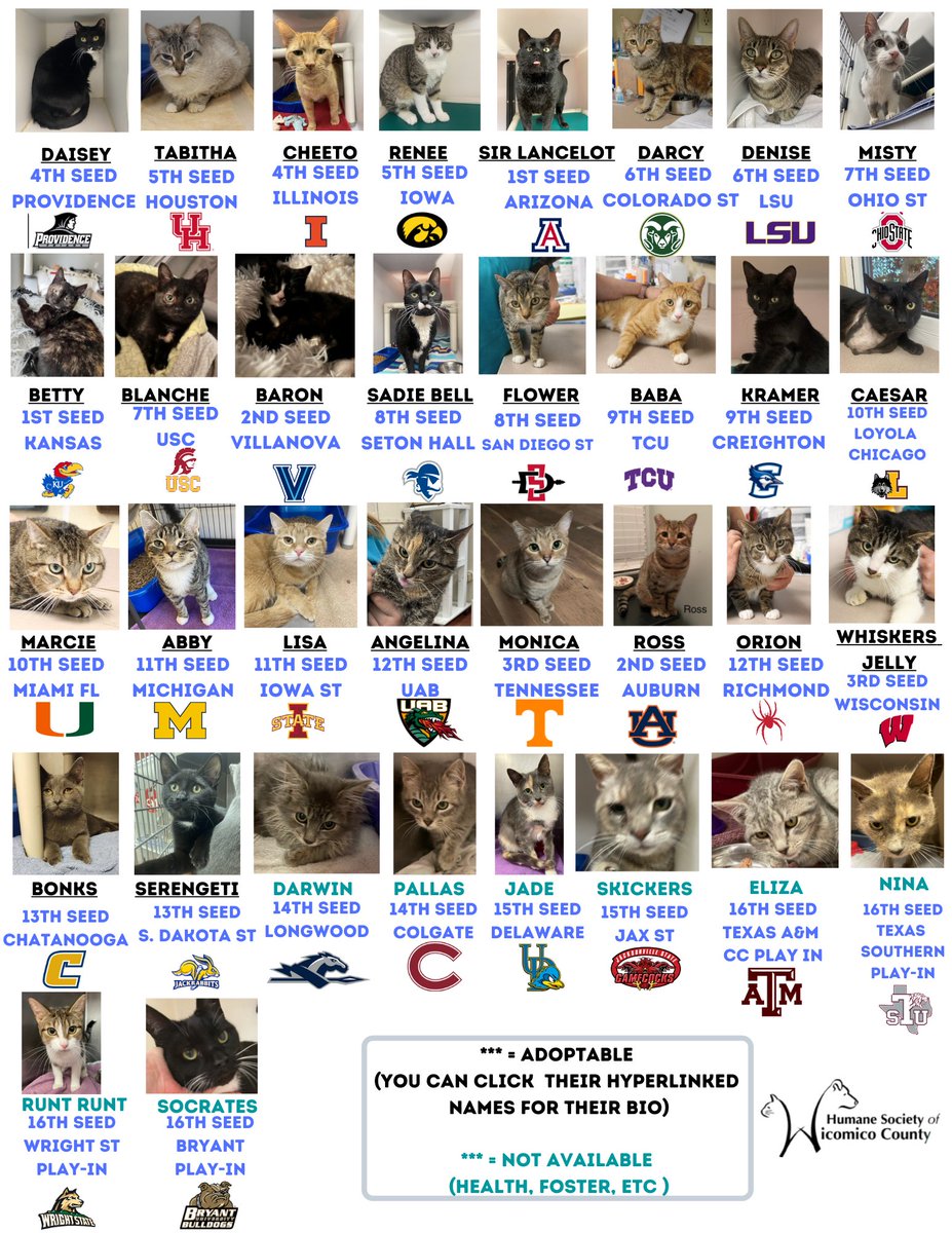WicomicoHumane's tweet photo. 🏀🐾Virtual March Madness Event🐾🏀

Fill out a bracket to help our animals &amp; shelter expansion! $10/bracket &amp; 6 winners get a gift basket for their pet! Location does not matter - we'd be happy to ship to the winner.

Info &amp; bracket here: https://t.co/DakyZfJj6i

#MarchMadness https://t.co/rF82uXCDp6