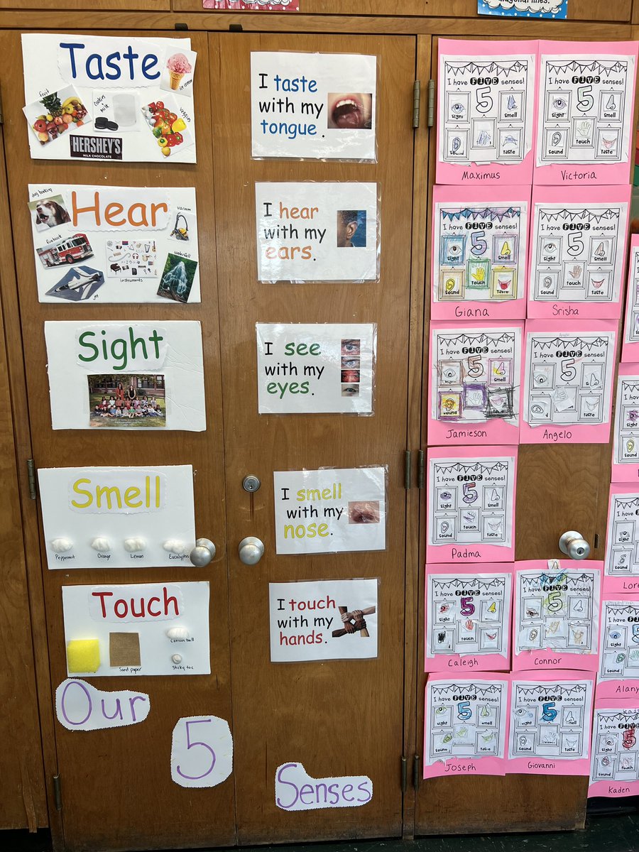 PFainUPK's tweet photo. UPK-B had a great time during our 5 Senses Unit. We tasted different foods, smelt essential oils, made egg shakers, stuck our hands in a mystery box, made Oobleck, and went on a nature walk. #prekfun #learningthroughplay https://t.co/e4wEI9ja9Q
