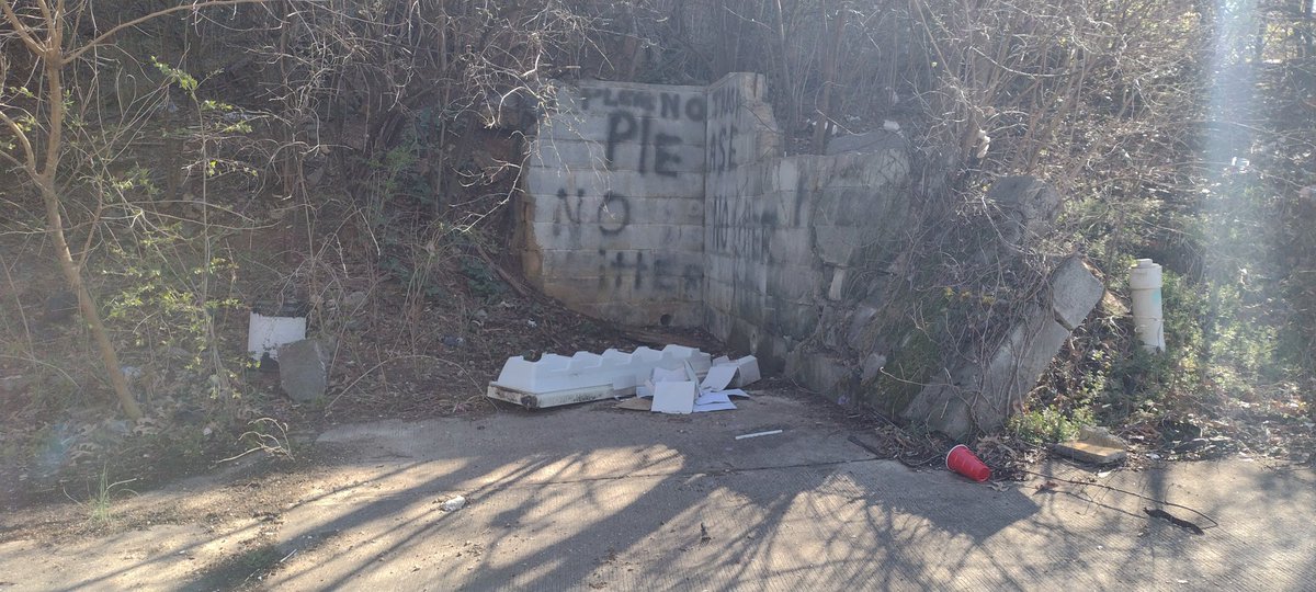 Location: Alley between 4936 Jay St NE & 5010 Just St NE Issue: illegal dumping of furniture and refrigerator items @311DCgov @ANC7C @GreenANC7C04 @deanwooddca