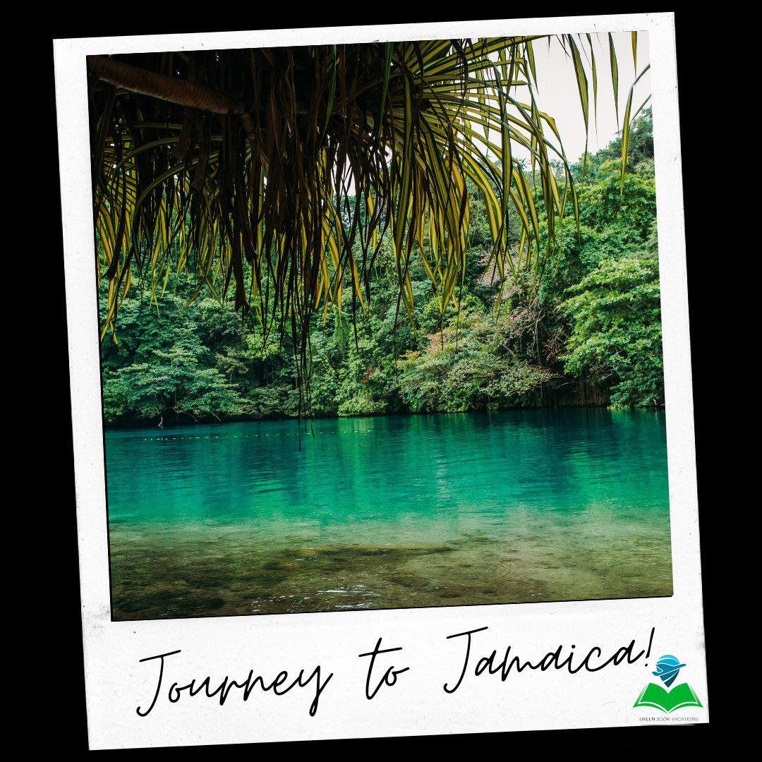 GreenBookVacay's tweet photo. This week we are going to be highlighting the beautiful island of Jamaica!

#jamaica #traveljamaica #visitjamaica #kingston #travelkingston #visitkingston #caribbean #caribbeancountry #traveldestination #adventureactivities #jamaicaadventure #traveladventure #travelactivities https://t.co/vRcbOkTcVi