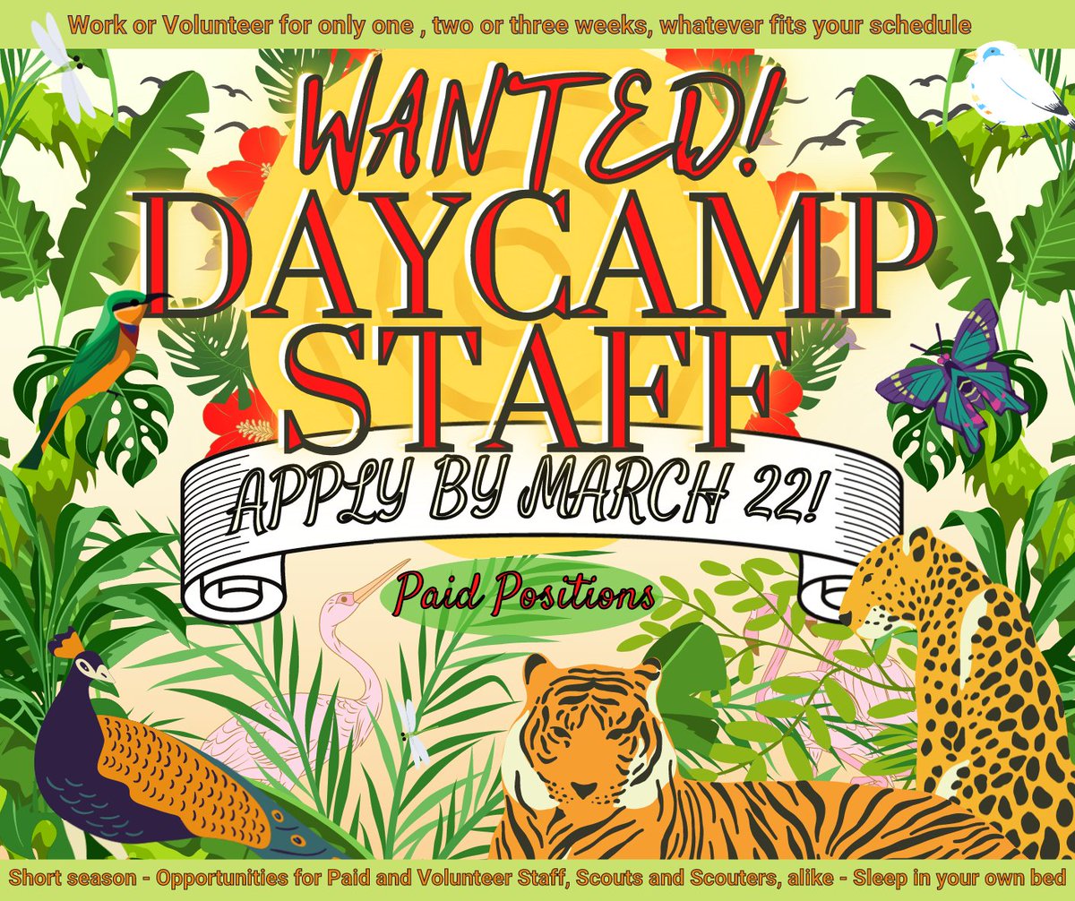 neicbsa's tweet photo. We are hiring!  
We are looking for Camp staff for Day Camp, with openings in Winnetka, Libertyville, &amp; Camp Oakarro.    Great resume builder or first job!
Please share this with anybody who might be interested! 
Apply at:  https://t.co/ggsfurnH8u
[see link for details] https://t.co/Ki3ukDNLSq